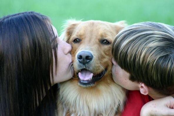 les gens embrassent un chien et sont infectés par des vers